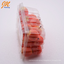 Jiamupacking OEM Plastic Fruit/Vegetable Clamshell Punnet